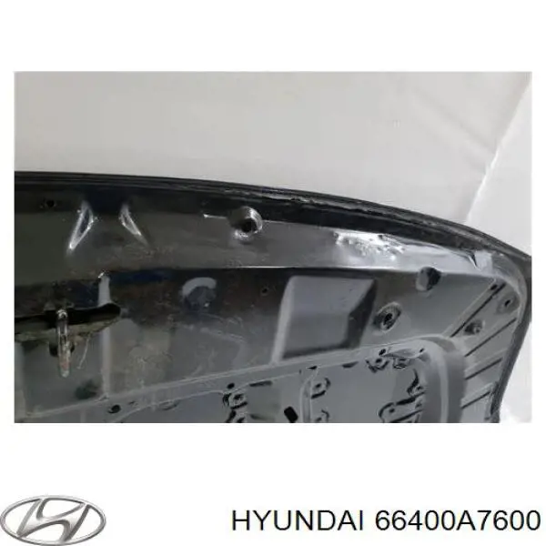 66400A7600 Hyundai/Kia Capó delantero