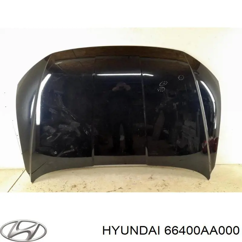 66400AA000 Hyundai/Kia Capó delantero