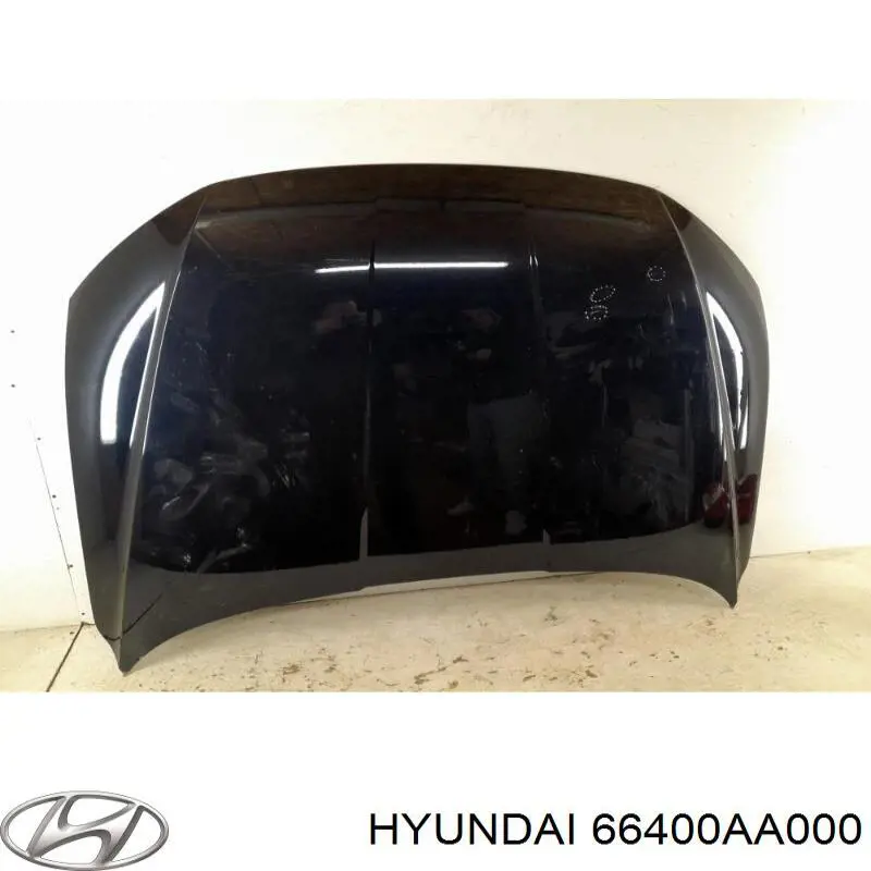 66400AA000 Hyundai/Kia