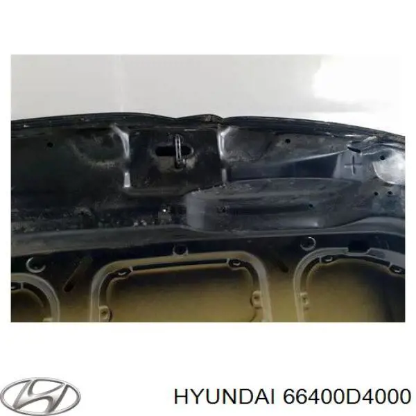 66400D4000 Hyundai/Kia capó