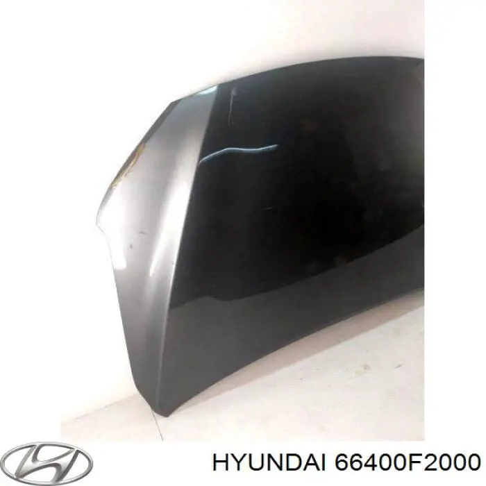 Comprar 66400F2000 Hyundai/Kia Capó
