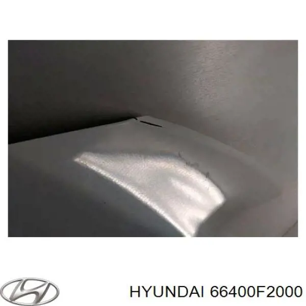 Capó del motor Hyundai/Kia 66400F2000 precio, desde 219,11 EUR