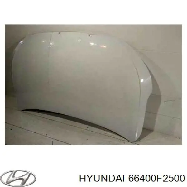 Comprar 66400F2500 Hyundai/Kia Capó