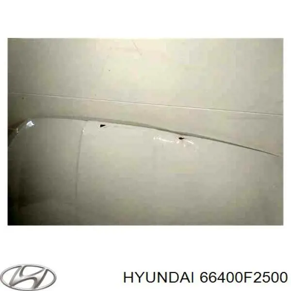 66400F2500 Hyundai/Kia Capó delantero