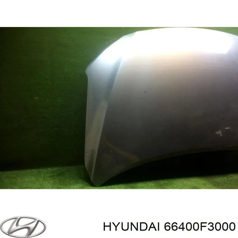Capó del motor Hyundai/Kia 66400F3000 precio, desde 193,59 EUR