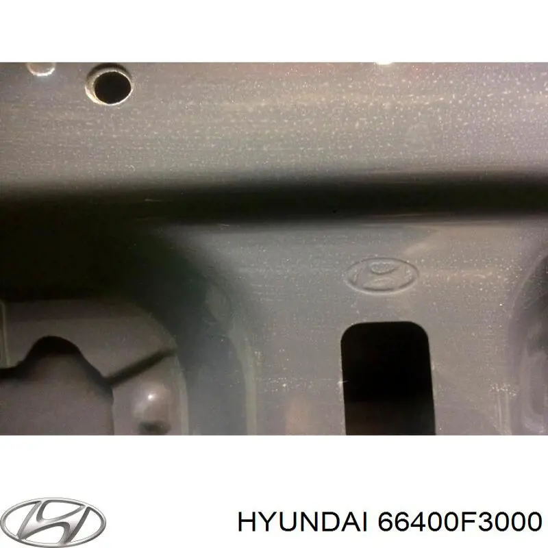 66400F3000 Hyundai/Kia Capó delantero