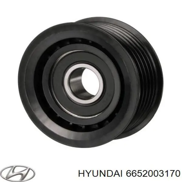 Polea inversión / guía, correa poli V 6652003170 Hyundai/Kia