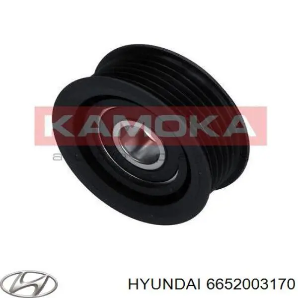 6652003170 Hyundai/Kia polea inversión / guía, correa poli v