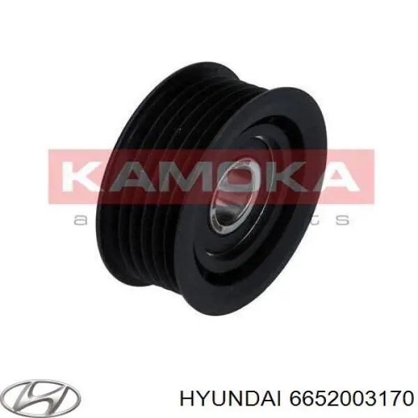 Comprar 6652003170 Hyundai/Kia Polea inversión/guía, correa poli V