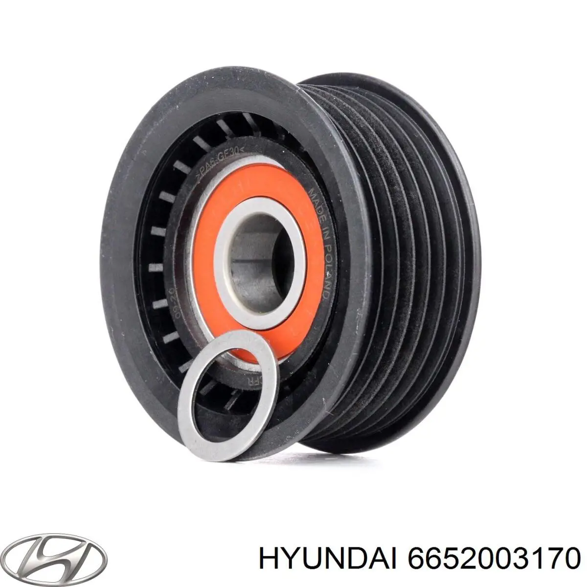 6652003170 Hyundai/Kia Polea guía correa poli V