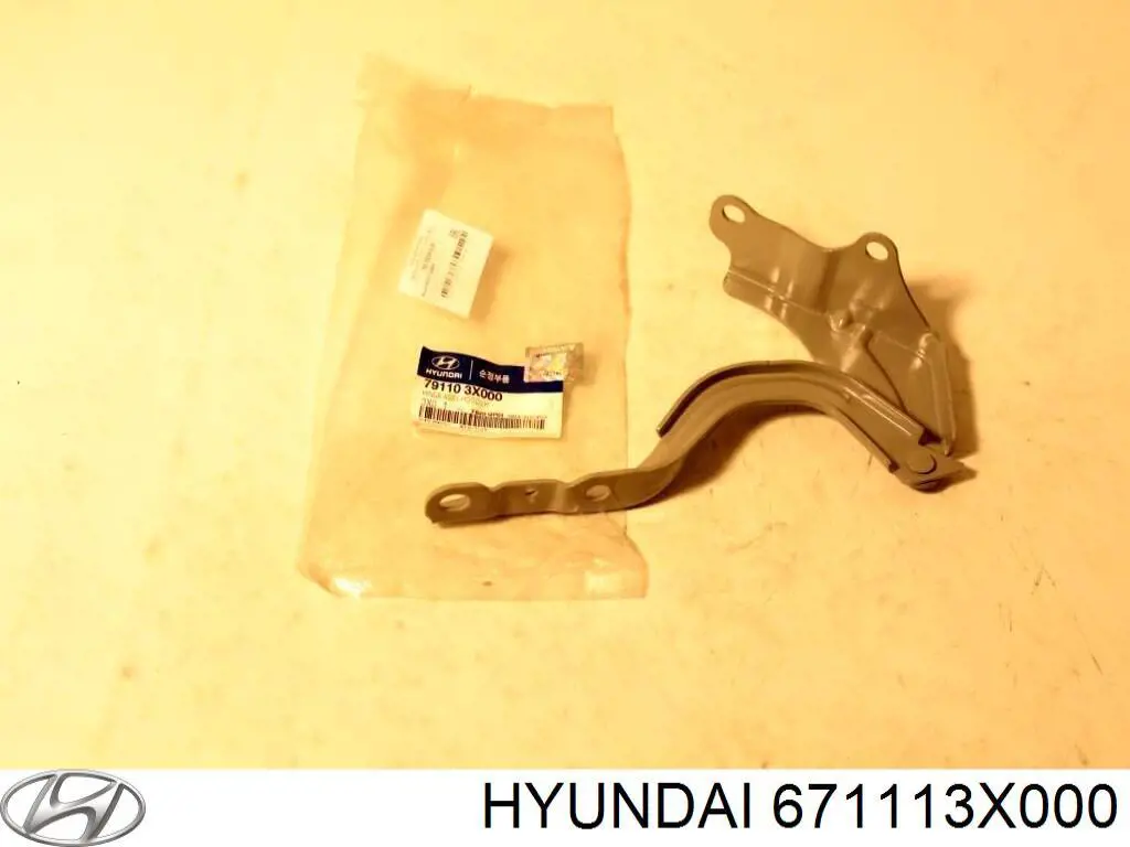671113X000 Hyundai/Kia techo