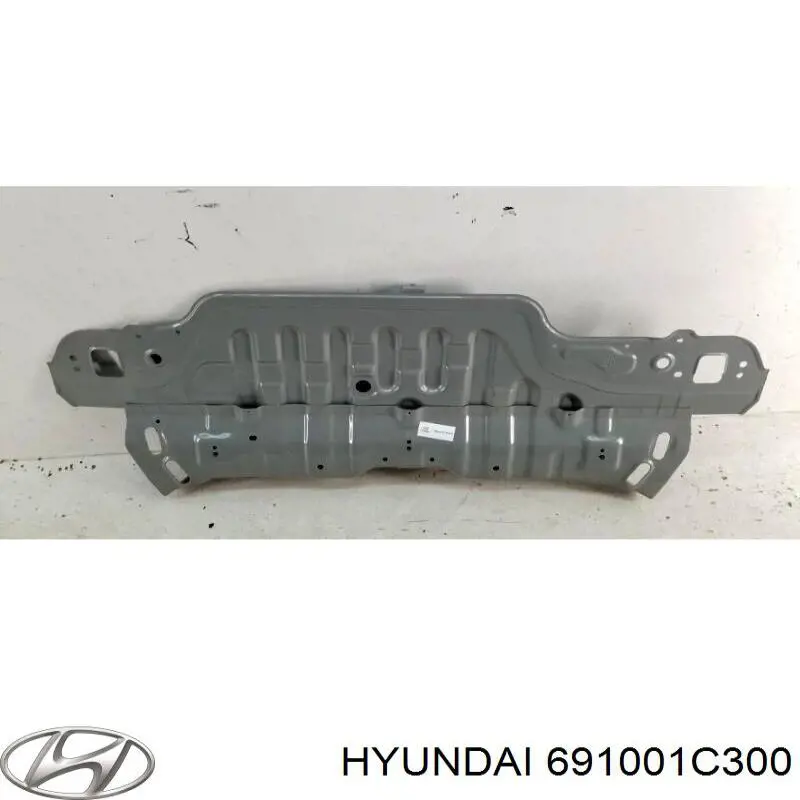 691001C300 Hyundai/Kia panel del maletero trasero