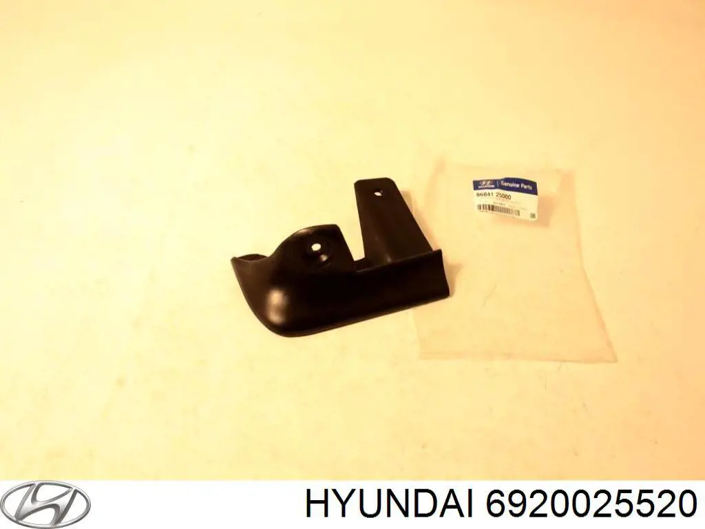 6920025520 Hyundai/Kia tapa del maletero