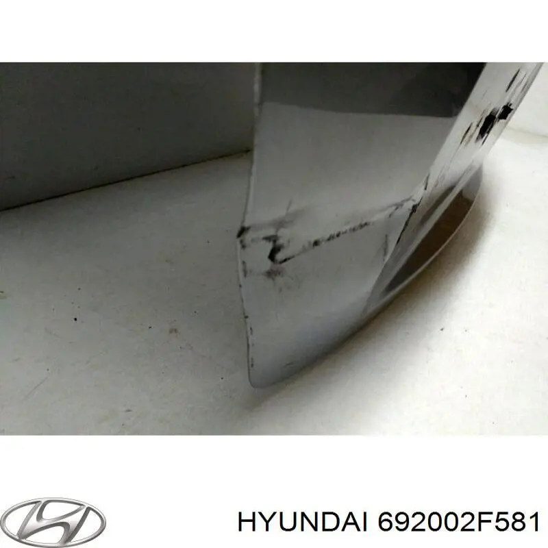 692002f581 Hyundai/Kia tapa del maletero