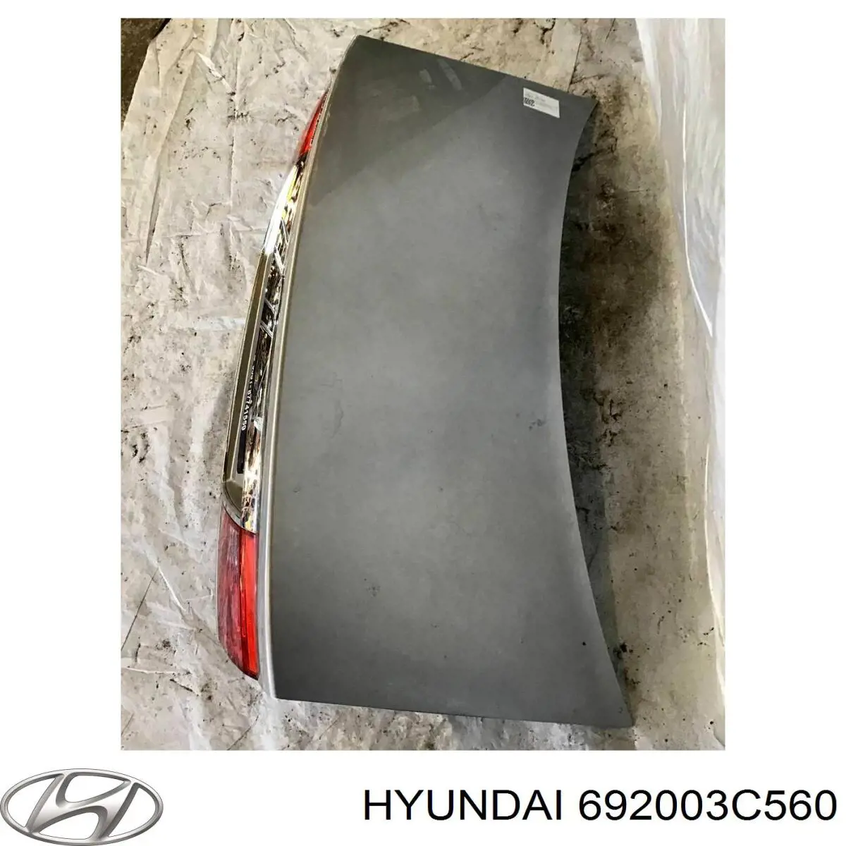 692003C560 Hyundai/Kia tapa del maletero