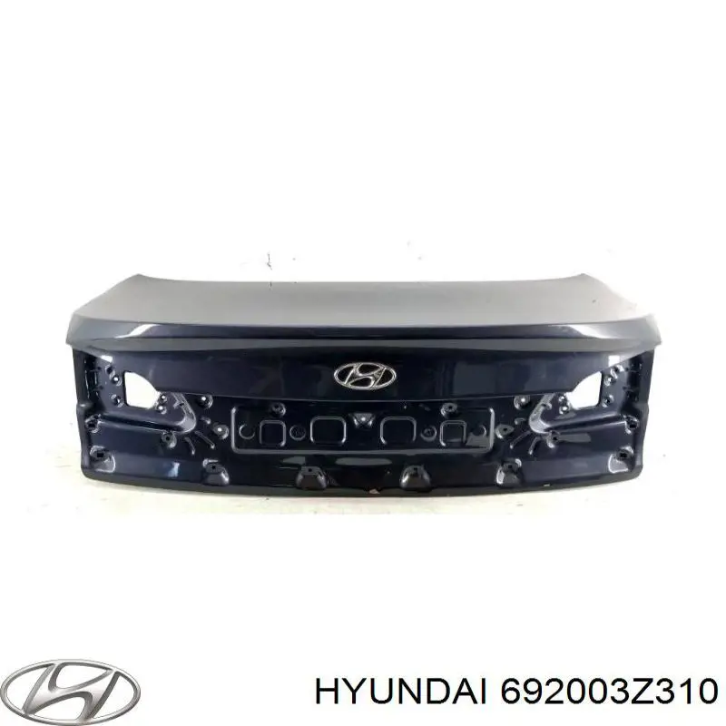 692003Z310 Hyundai/Kia tapa del maletero