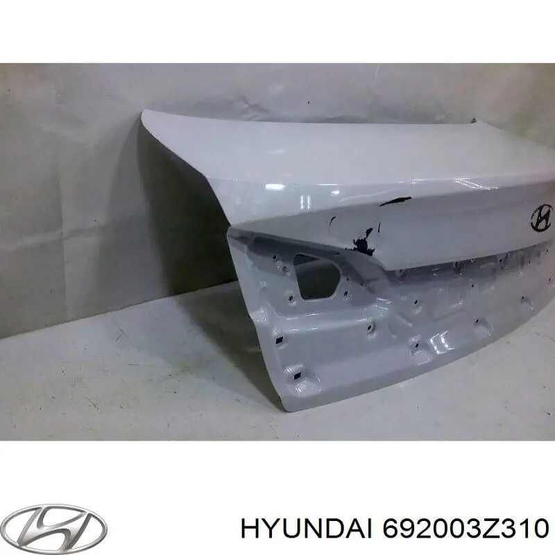 Tapa del maletero Hyundai/Kia 692003Z310 precio, desde 290,40 EUR