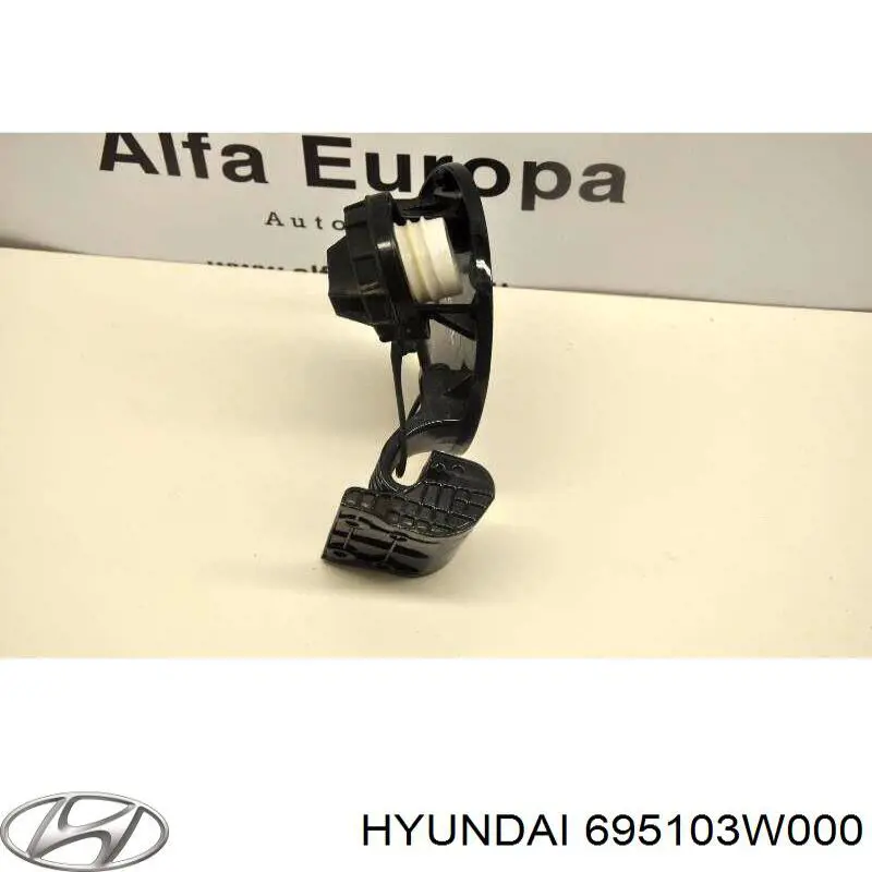 695103W000 Hyundai/Kia tapa de la gasolina (depósito de combustible)