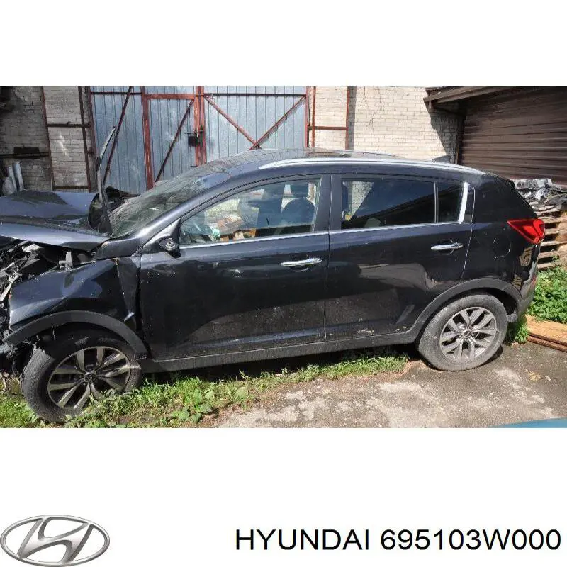 Tapa de la gasolina 695103W000 Hyundai/Kia