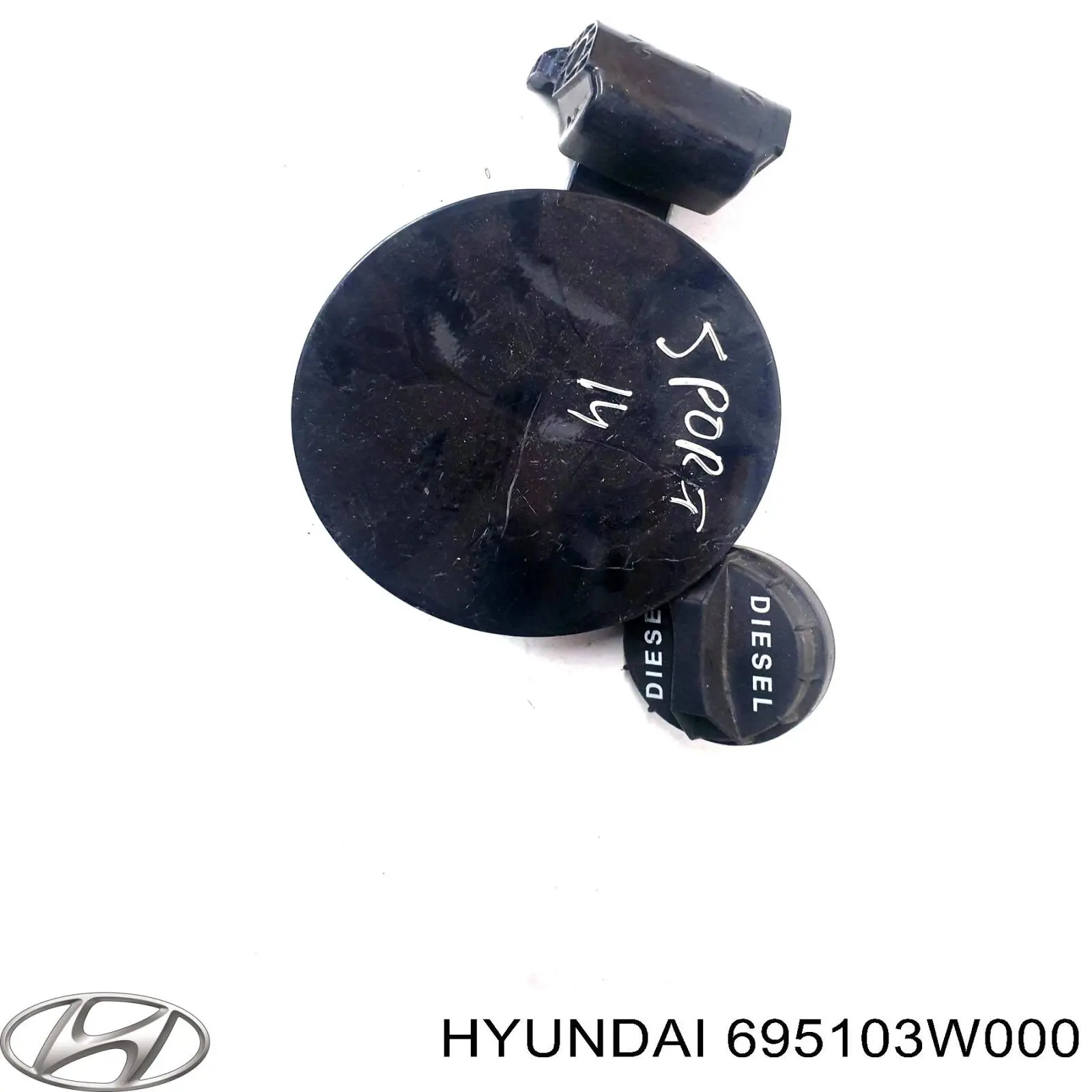 Tapón combustible Hyundai/Kia 695103W000