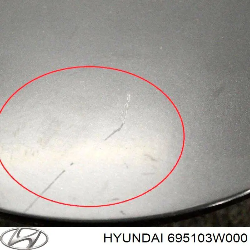 Tapa del depósito de gasolina Hyundai/Kia 695103W000 precio, desde 34,85 EUR