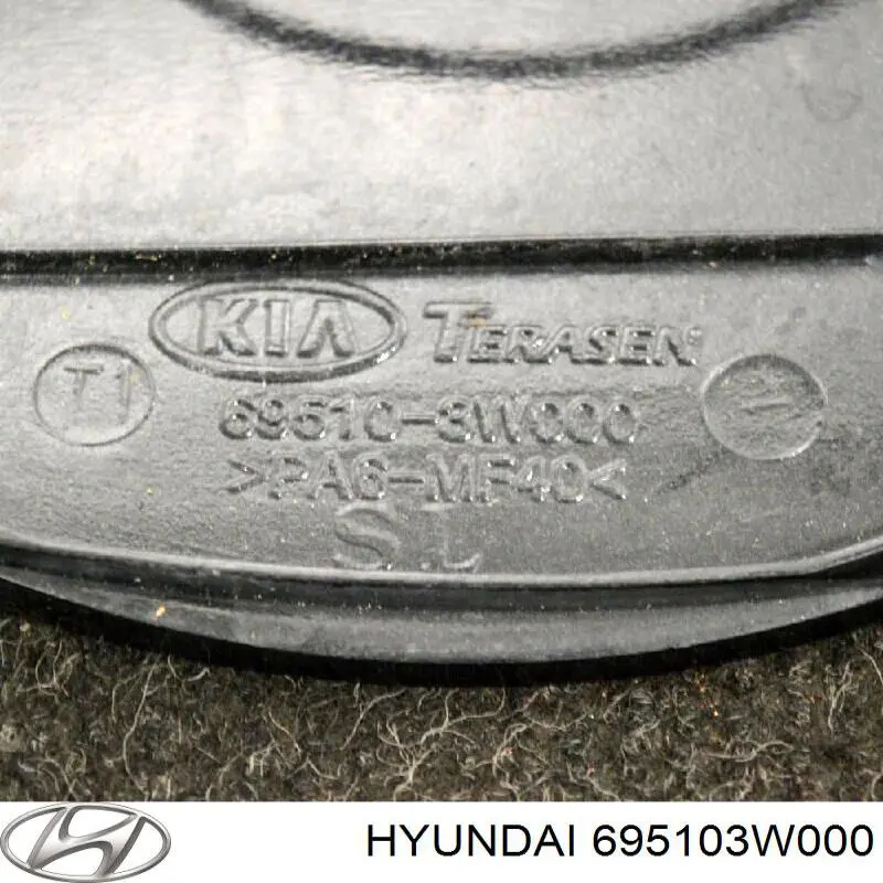 Comprar 695103W000 Hyundai/Kia Tapa de depósito de combustible