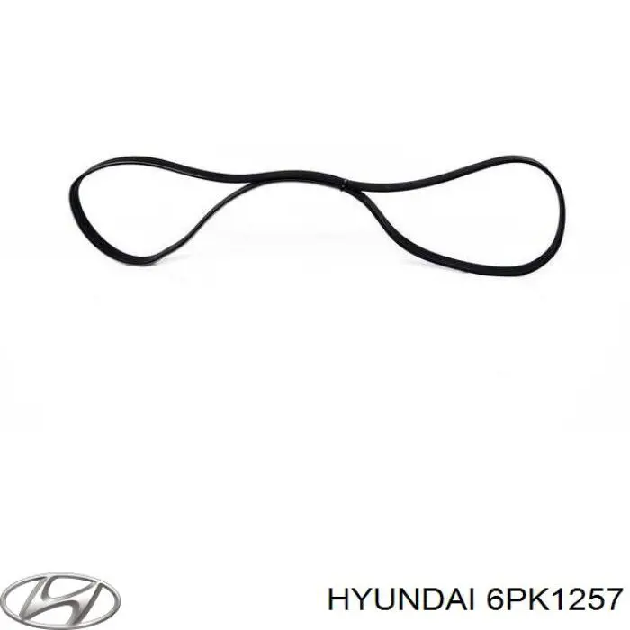 6PK1257 Hyundai/Kia correa trapezoidal