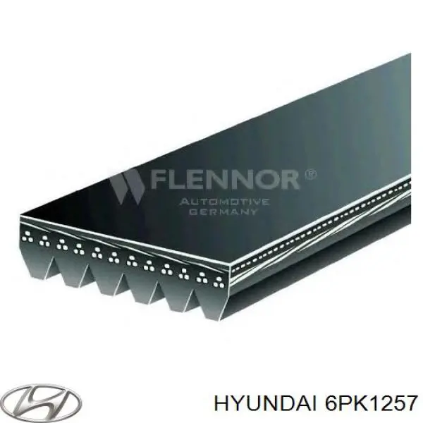 Correa de transmisión trapezoidal Hyundai/Kia 6PK1257 precio, desde 15,23 EUR