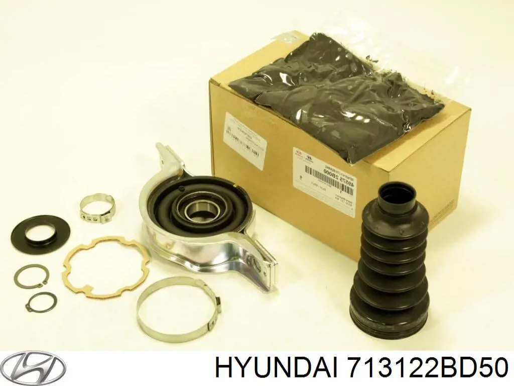 Chapa de acceso izquierda Hyundai Santa Fe 2 (CM)