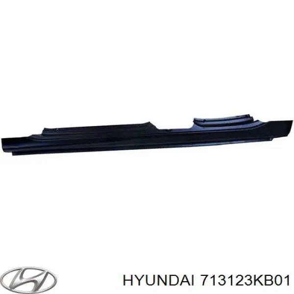 Chapa de acceso izquierda para Hyundai Sonata (NF)