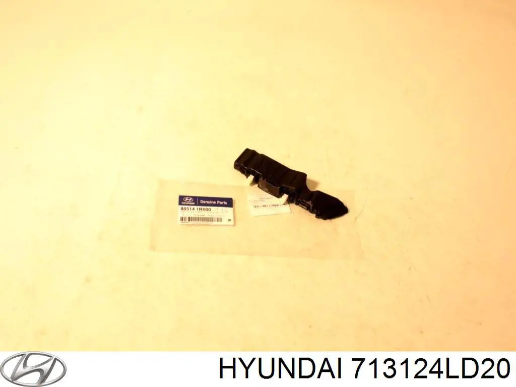 713124LD20 Hyundai/Kia chapa de acceso izquierda