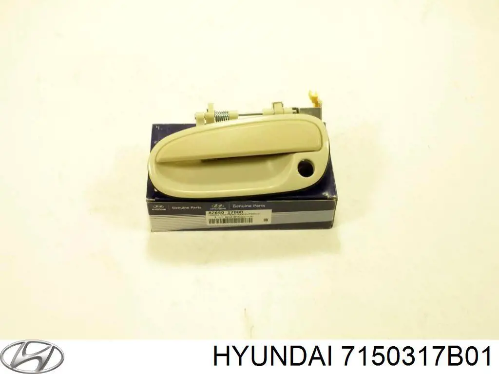 7150317B01 Hyundai/Kia guardabarros trasero izquierdo