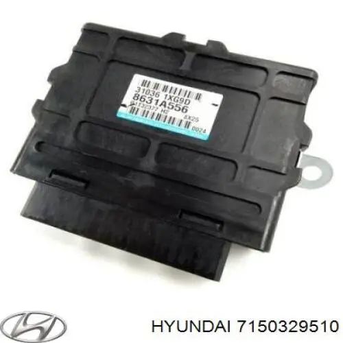 Guardabarros trasero izquierdo para Hyundai Lantra 