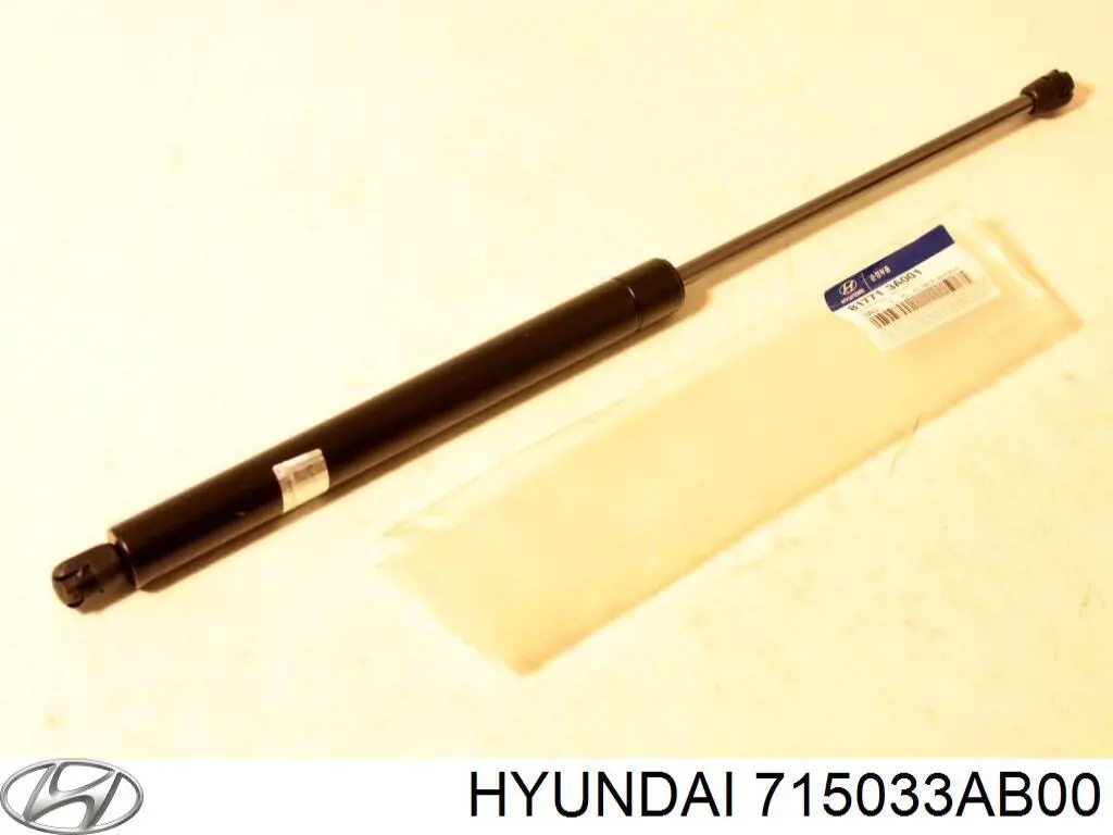 715033AB00 Hyundai/Kia guardabarros trasero izquierdo