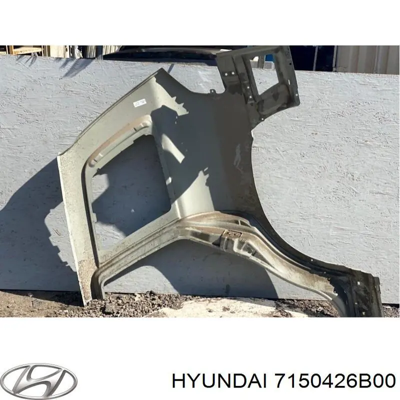 Guardabarros trasero derecho para Hyundai Santa Fe (SM)