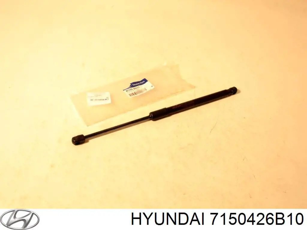 7150426B10 Hyundai/Kia guardabarros trasero derecho