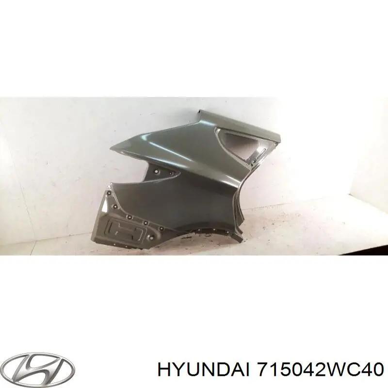 Guardabarros trasero derecho para Hyundai Santa Fe (DM)