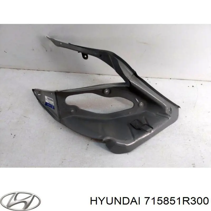 715851R300 Hyundai/Kia panel, soporte piloto trasero