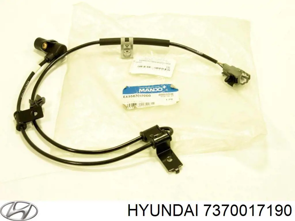 Puertas traseras Hyundai Matrix monovolumen (FC) (2005 - 2008) precio, desde 1078,89 EUR