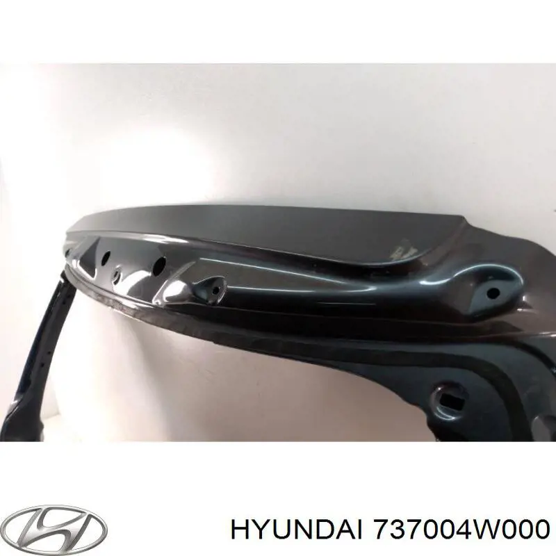  Puerta trasera Hyundai Ix35 