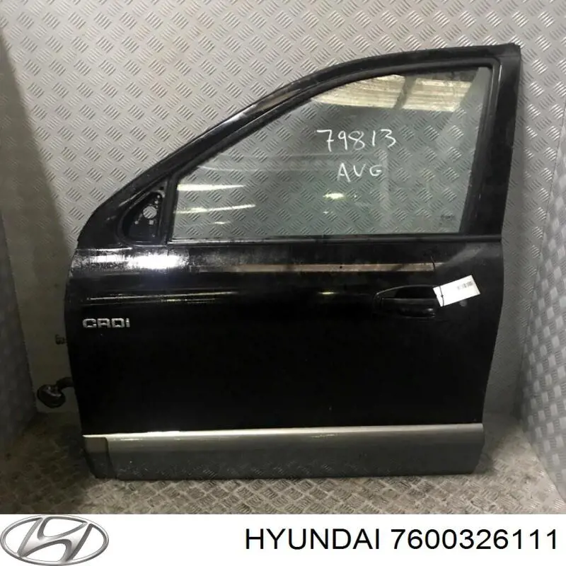 Puerta de coche, delantera, izquierda Hyundai Santa Fe I SUV (SM) (2000 - 2006) precio, desde 181,50 EUR