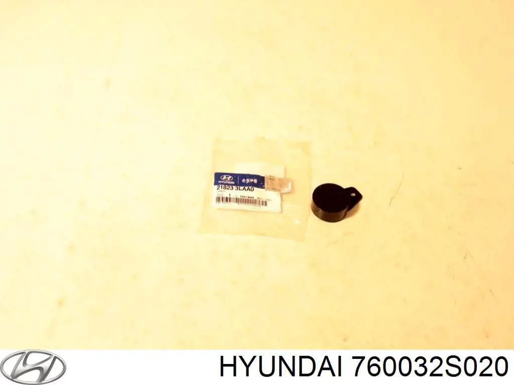 760032S020 Hyundai/Kia puerta delantera izquierda