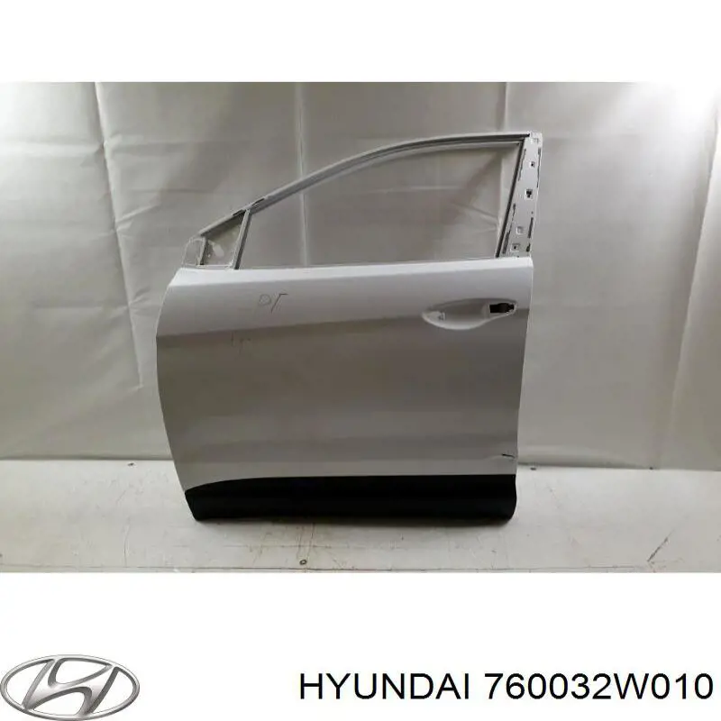 Puerta de coche, delantera, izquierda para Hyundai Santa Fe (DM)