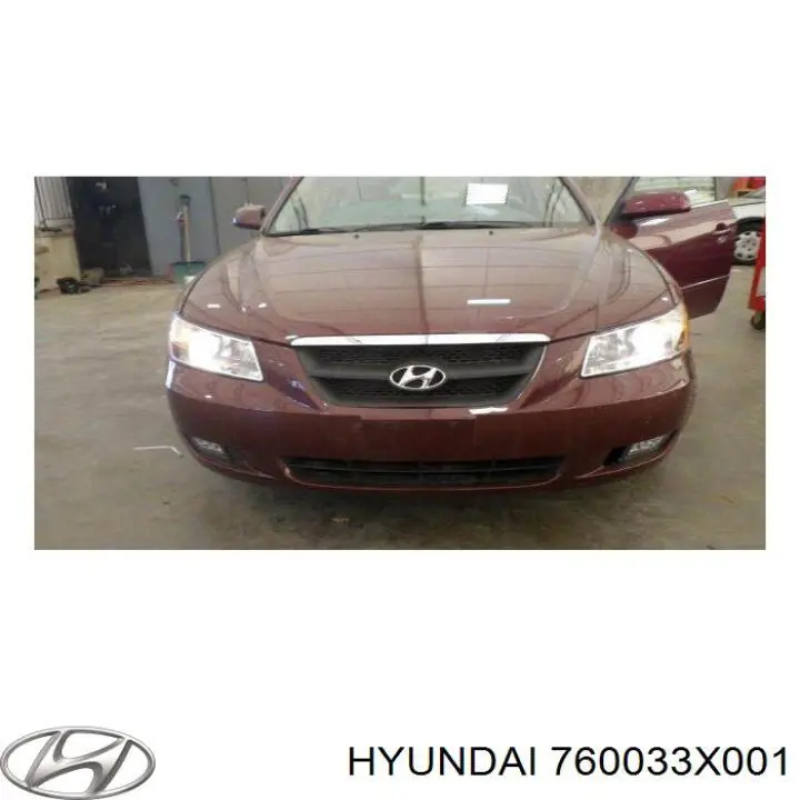 Puerta de coche, delantera, izquierda Hyundai/Kia 760033X000 precio, desde 724,65 EUR