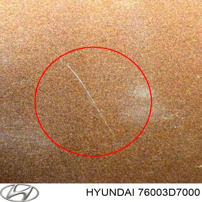 76003D7000 Hyundai/Kia puerta delantera izquierda