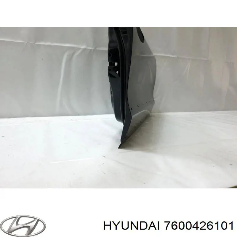 7600426101 Hyundai/Kia puerta delantera derecha