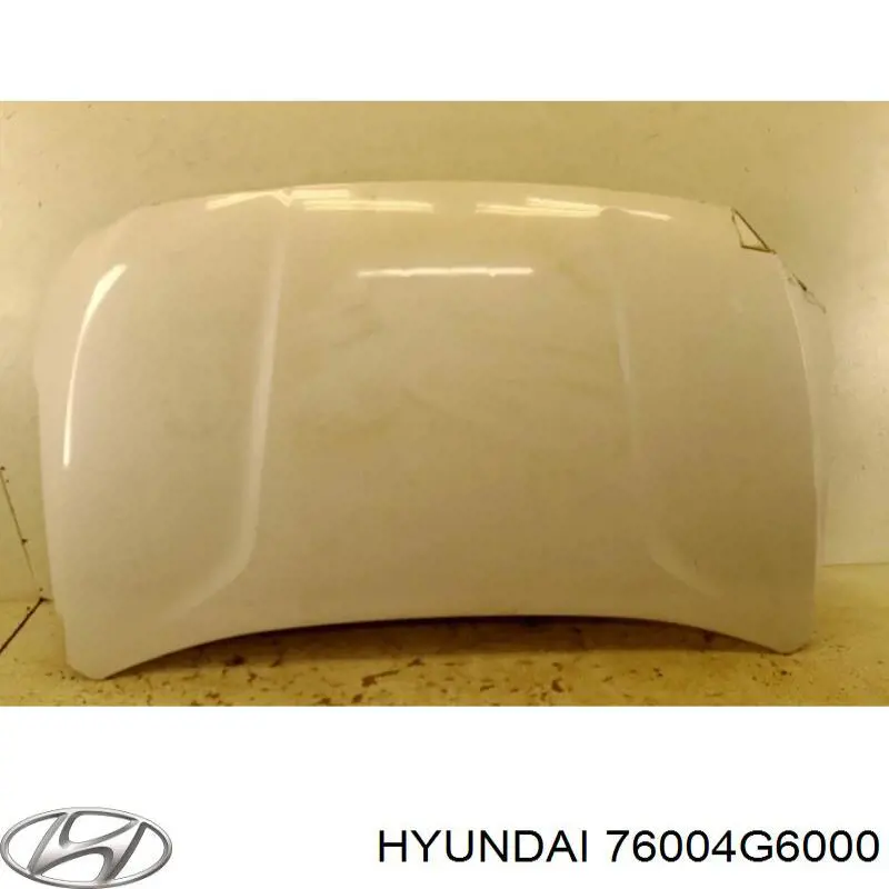 76004G6000 Hyundai/Kia Puerta delantera derecha