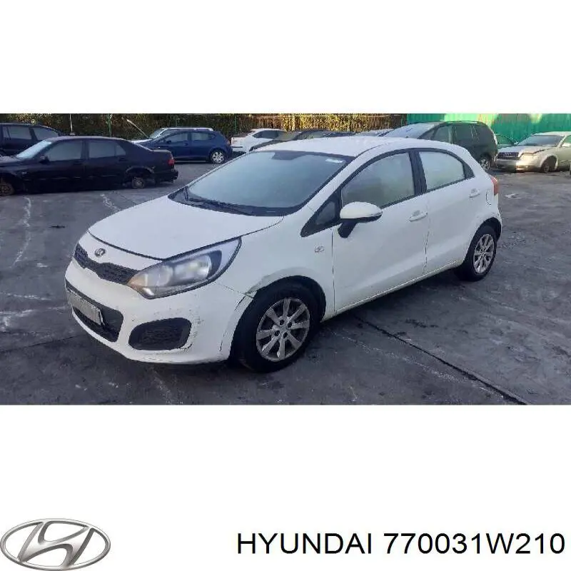 770031W210 Hyundai/Kia Puerta trasera izquierda