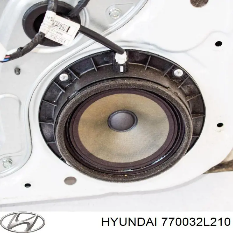 Puerta trasera izquierda Hyundai/Kia 770032L210 precio, desde 194,57 EUR