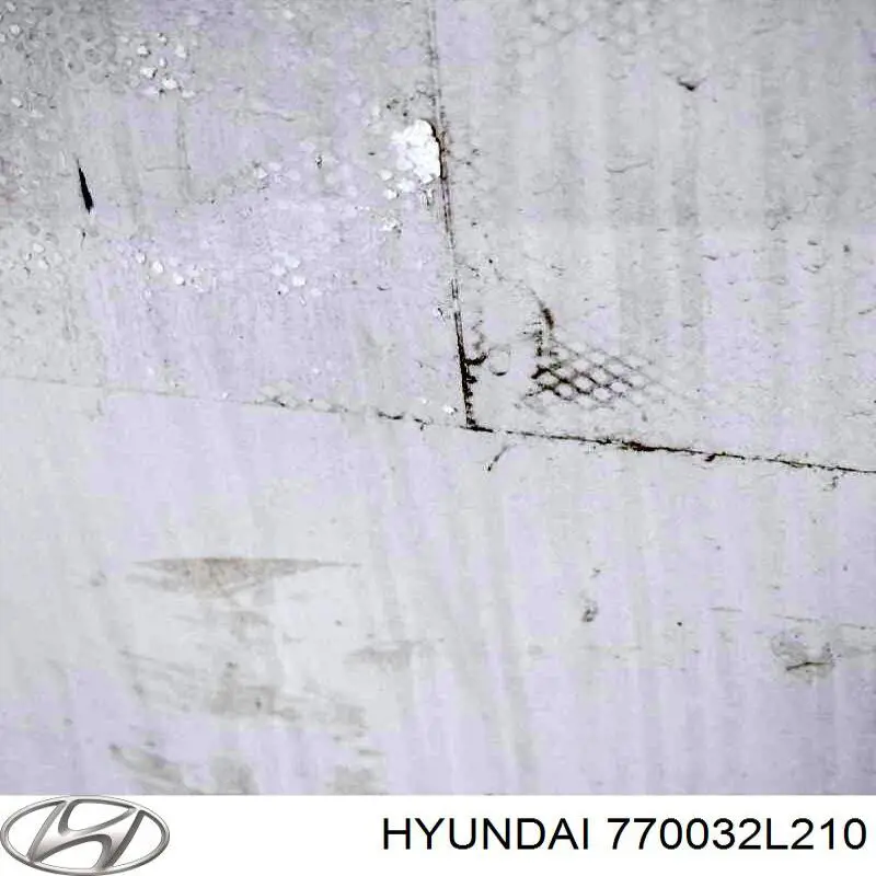 Comprar 770032L210 Hyundai/Kia Puerta trasera izquierda